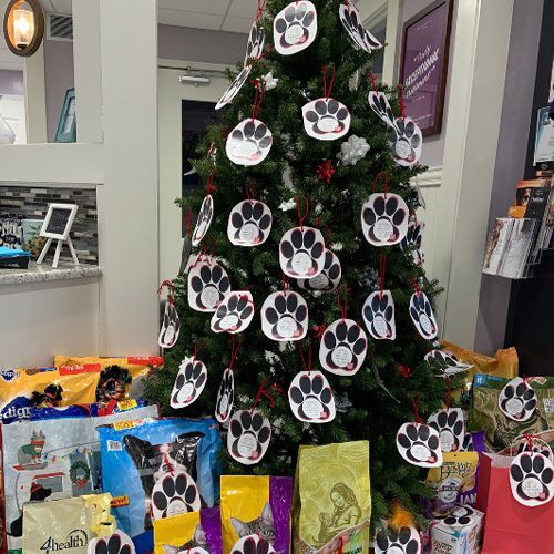 Salvation Army Giving Tree Square